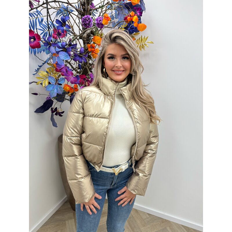 Jacket Gold Melody 81267