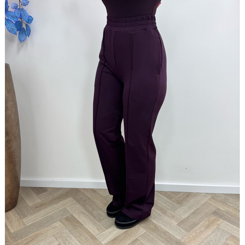 Perfect Pants By swan Straight leg HS6169 Violet