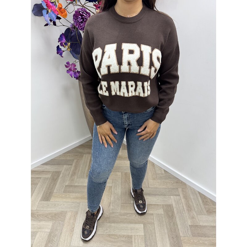 Sweater Paris Teddy AM829 Choco