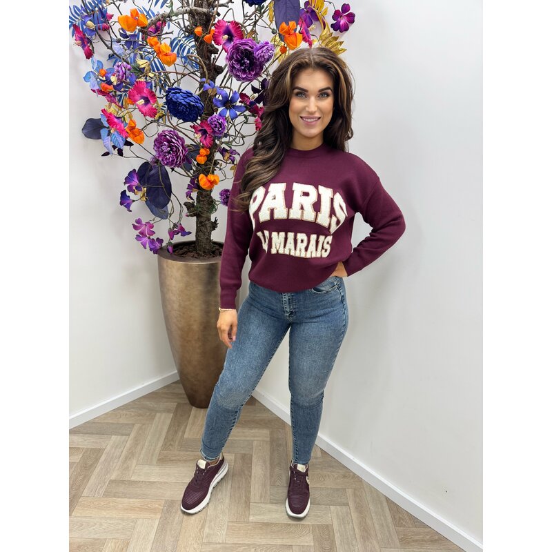 Sweater Paris Teddy AM829 Bordeaux