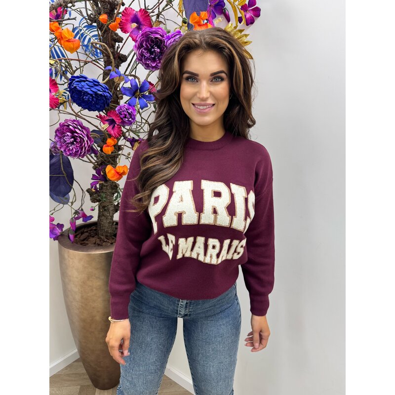 Sweater Paris Teddy AM829 Bordeaux