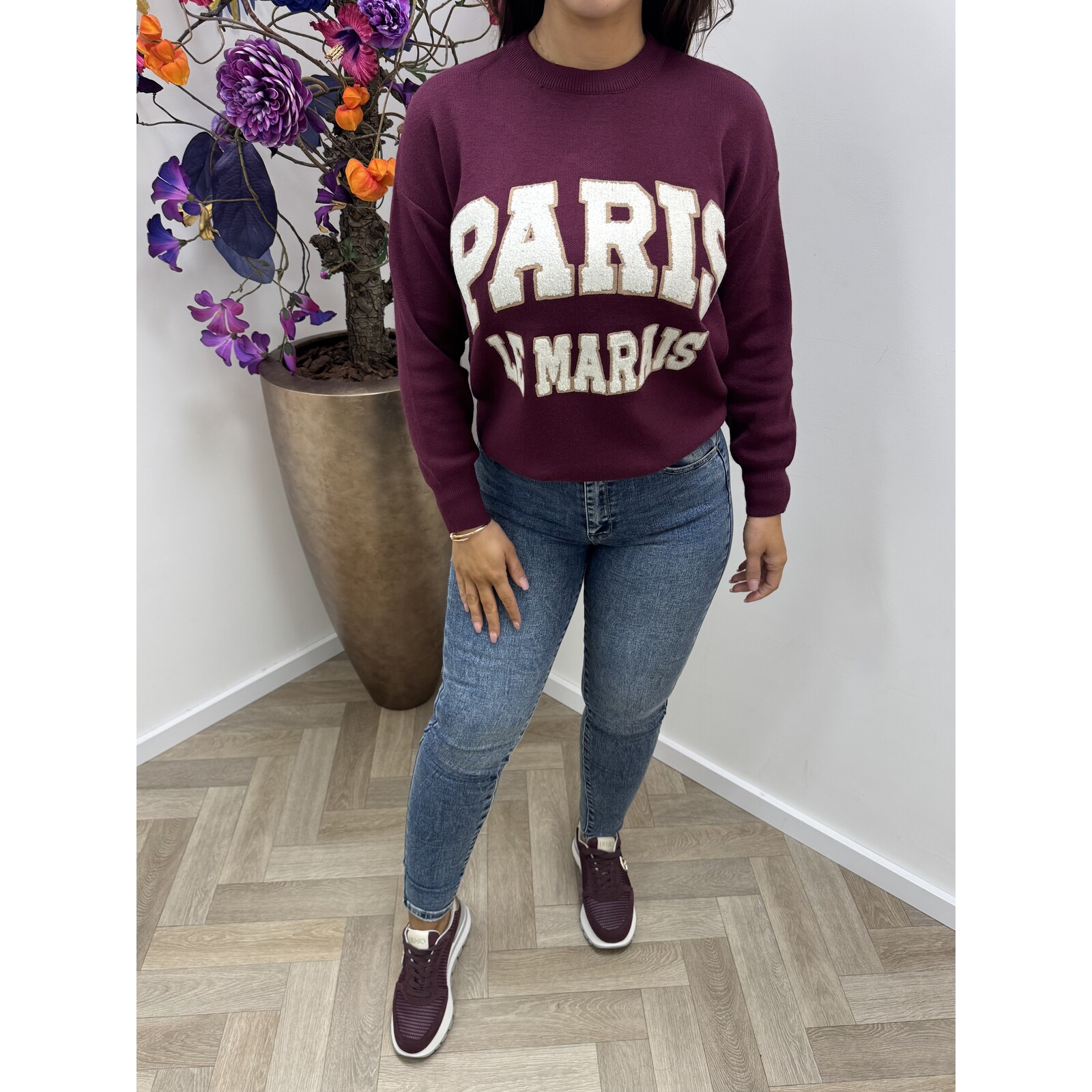 Sweater Paris Teddy AM829 Bordeaux
