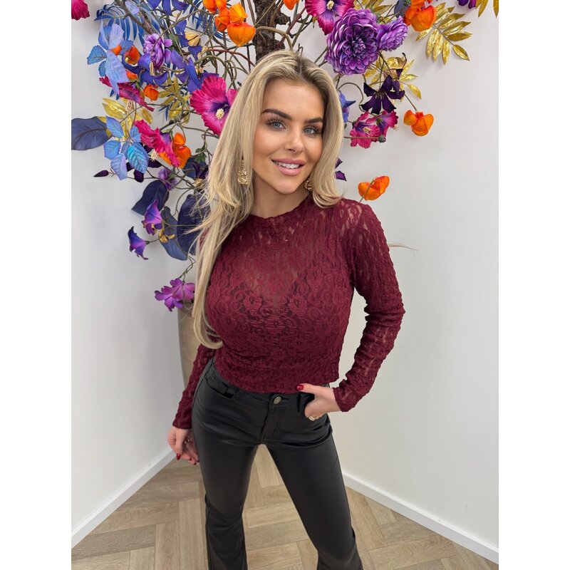 top Selina lace bordeaux