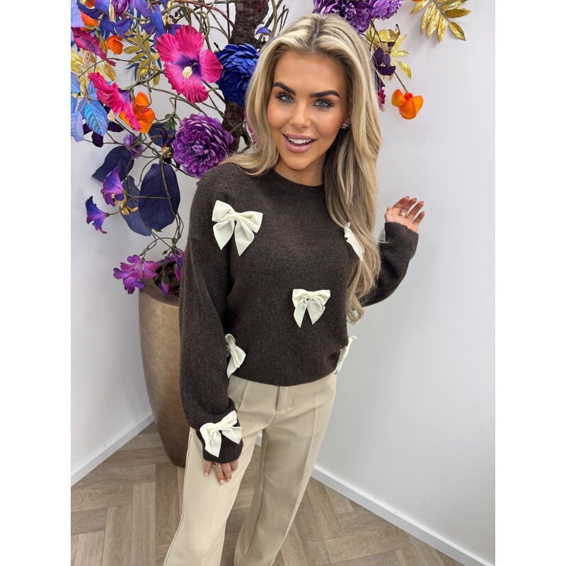 Trui Velvet Strikjes  Choco AM855