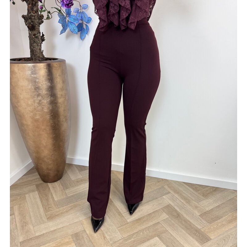 perfect flair pants Ivivi h590 Violet