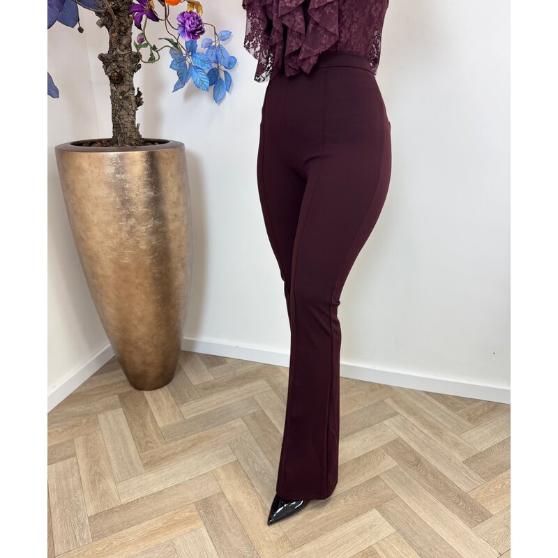 perfect flair pants Ivivi h590 Violet