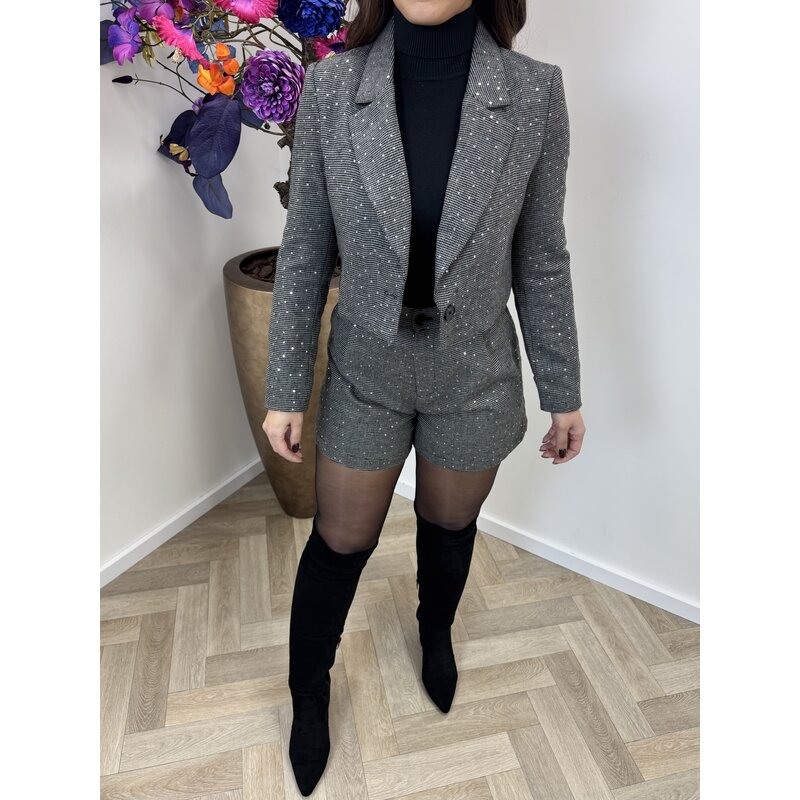 Blazer Mini Pailletten Ruit Grey 3098
