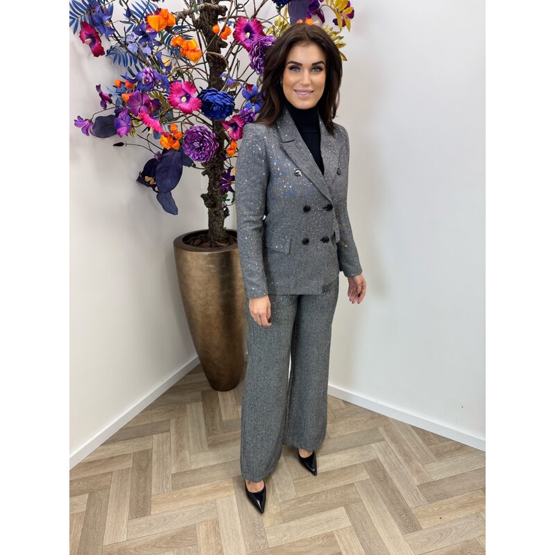 Blazer Felicia Mini Pailletten Grey 3096