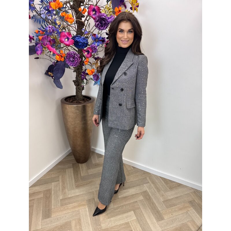 Blazer Felicia Mini Pailletten Grey 3096