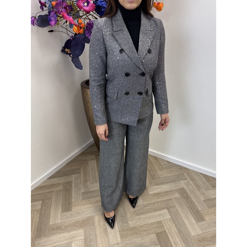 Blazer Felicia Mini Pailletten Grey 3096
