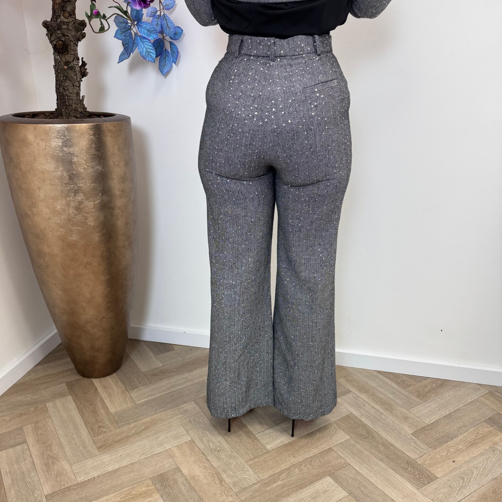 Pants Felicia Mini Pailletten Grey 3097