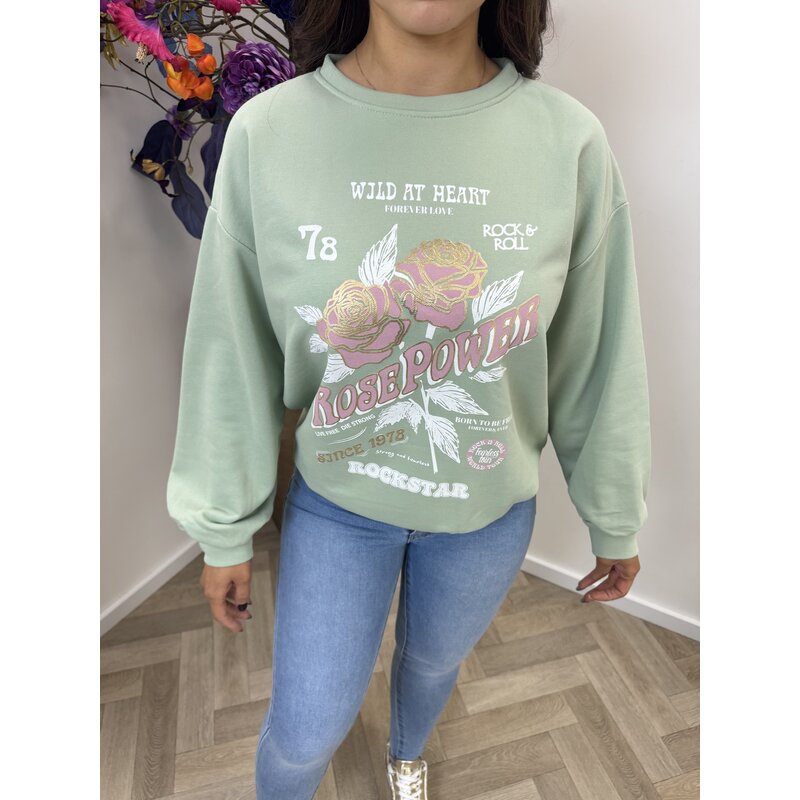 Sweater Rose Power 801754 Mint