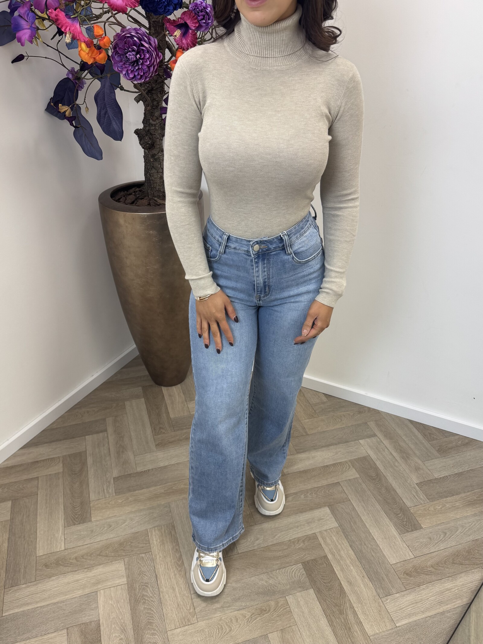 basic col top H-8658 Beige