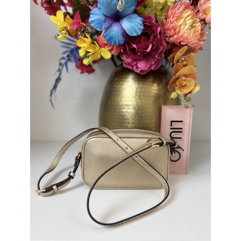 Camera Bag Evrim Light Gold 1062 Liu Jo