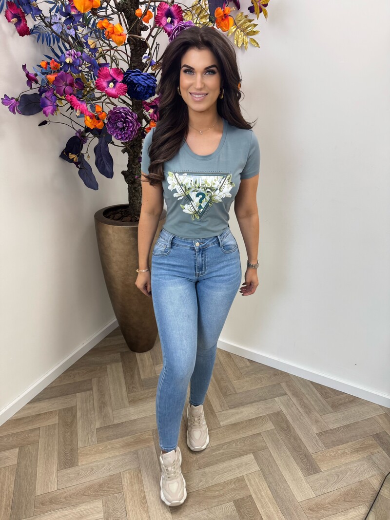 T-Shirt Camelia Triangle Metal Grey 1014 Guess