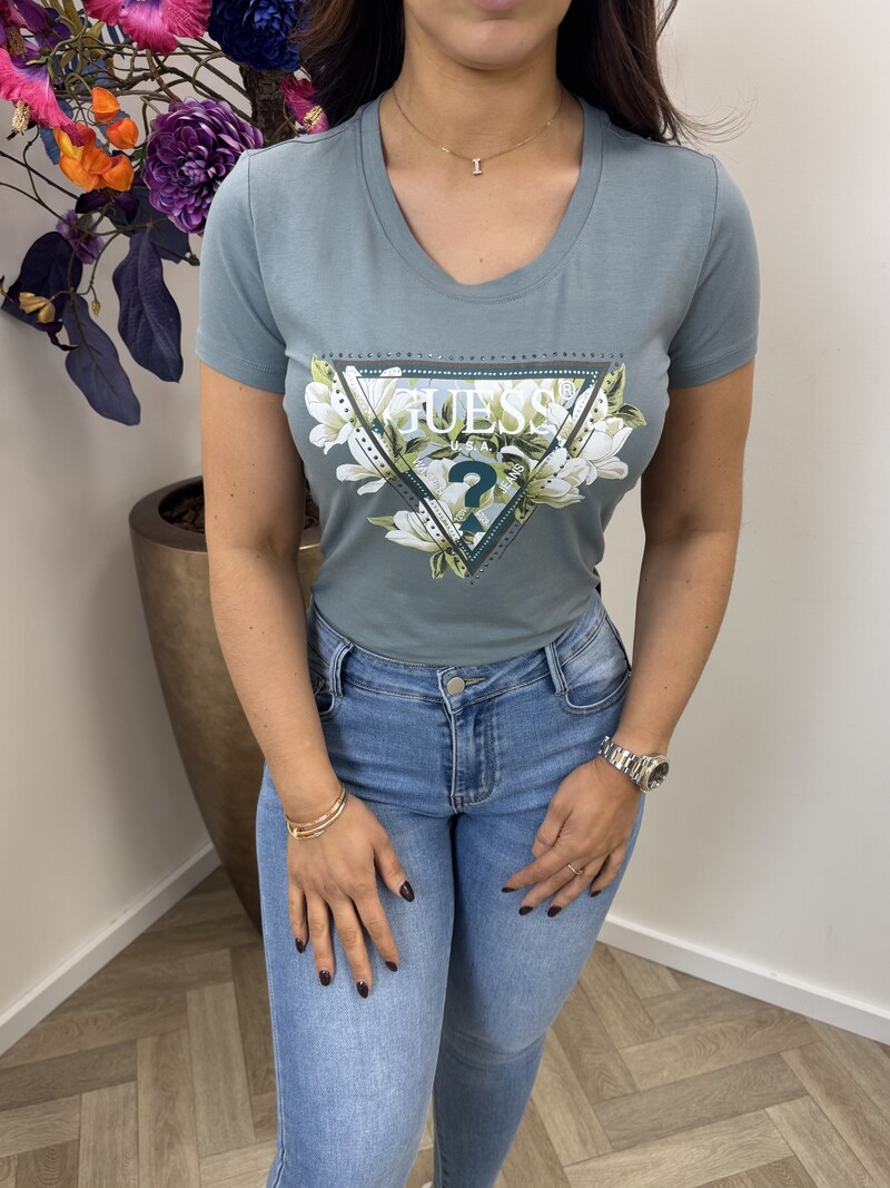 T-Shirt Camelia Triangle Metal Grey 1014 Guess
