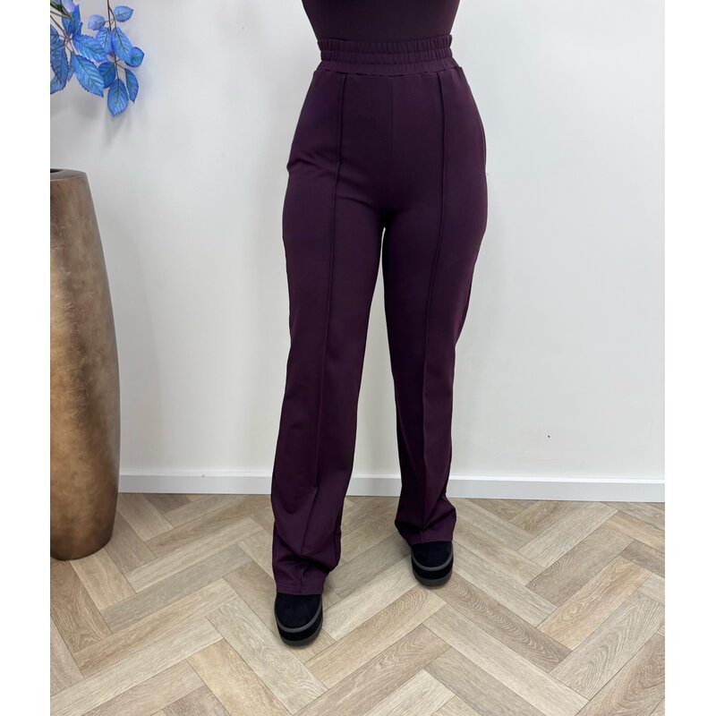 Perfect straight jogger By Swan HS6169  Violet