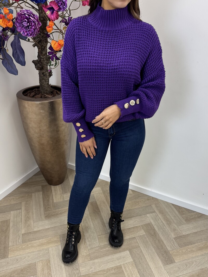 Trui Looking Purple