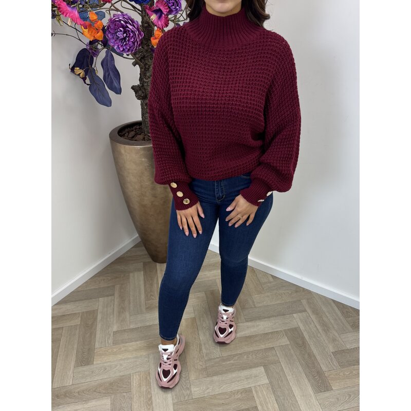 Trui Looking Bordeaux