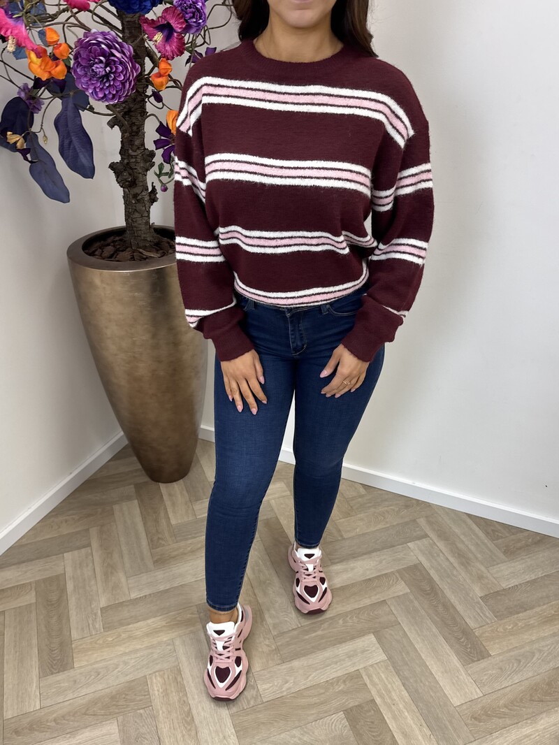 Trui Stripes kelly YP1857 Bordeaux