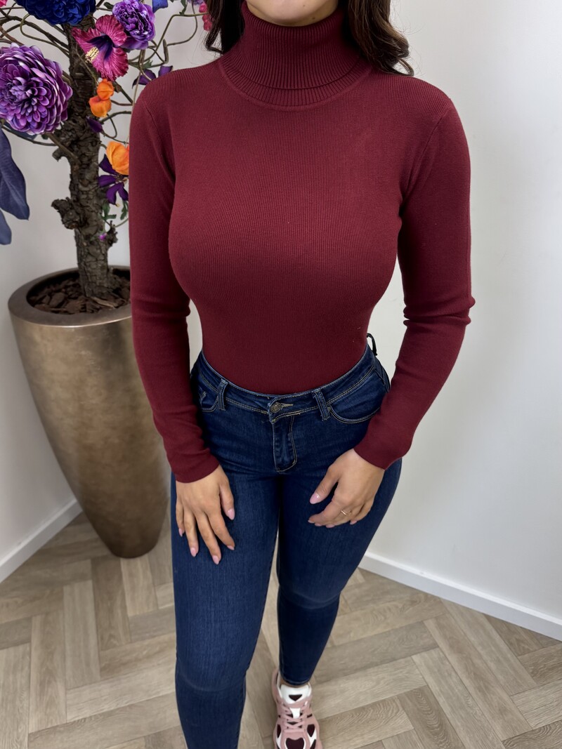 Basic col top H8658 Bordeaux