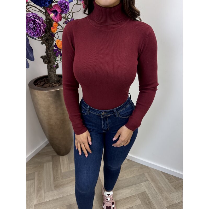 Basic col top H8658 Bordeaux