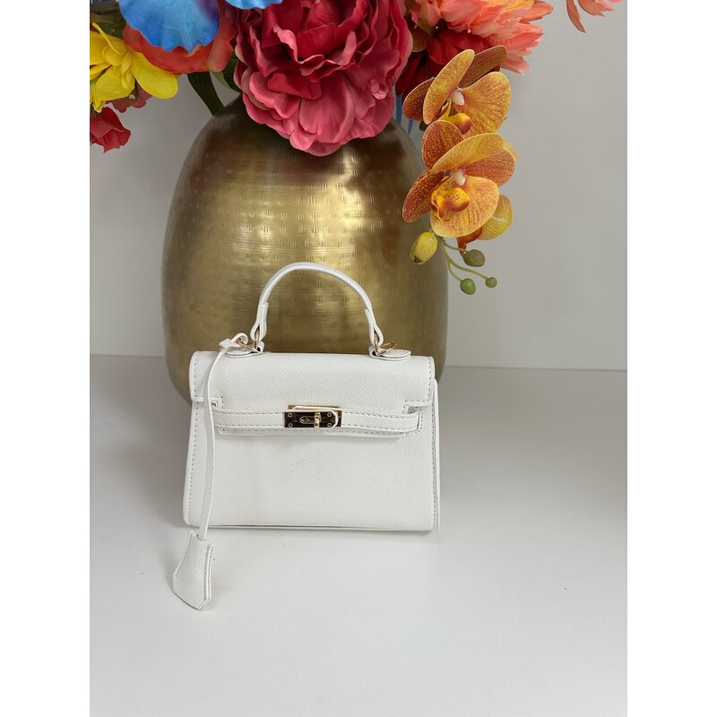 Bag Kelsy Small SS8025 White
