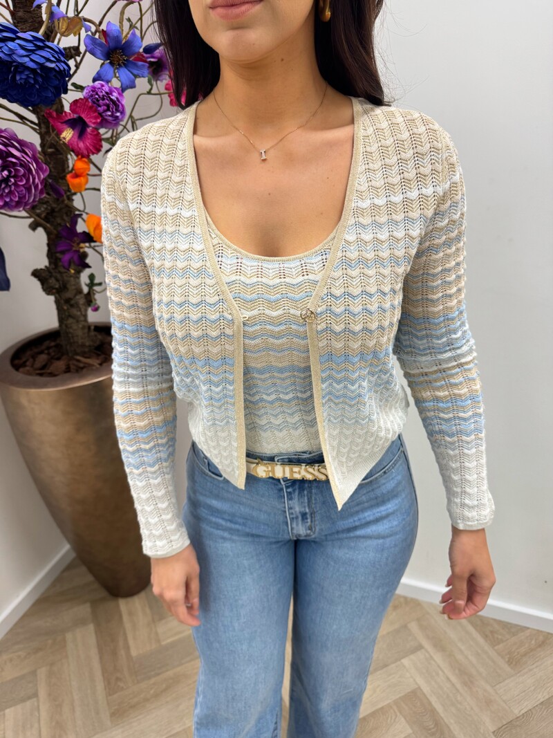 Vest Rosalyn Zigzag Light Blue Guess 1172