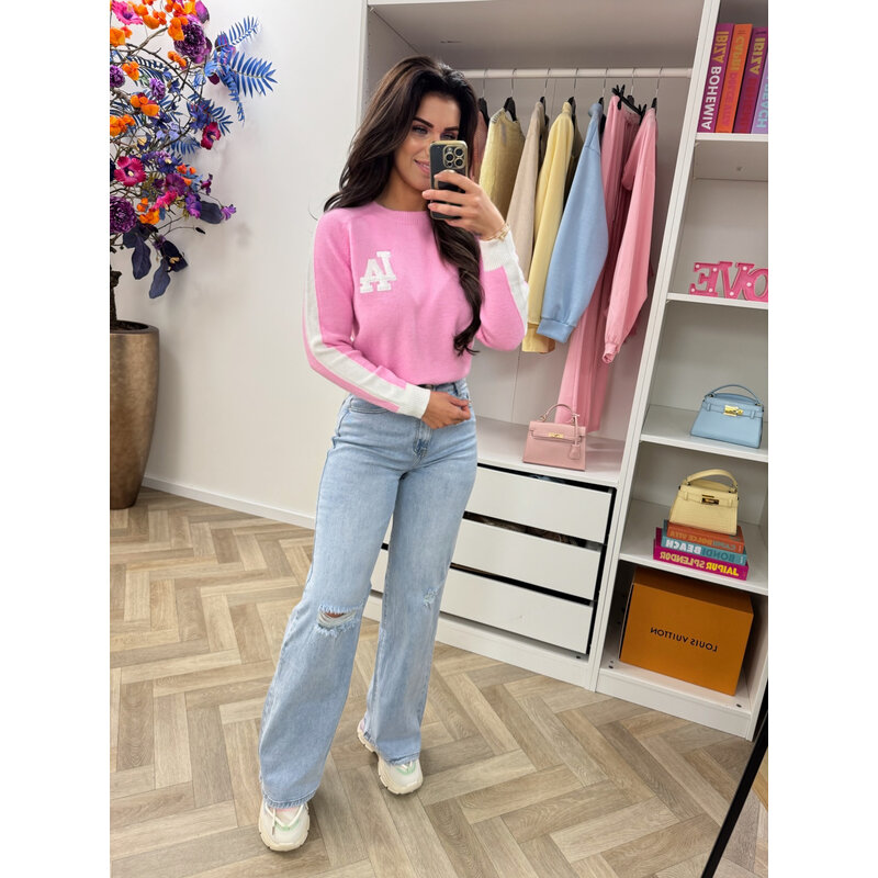 Sweater Teddy LA  Pink AM628