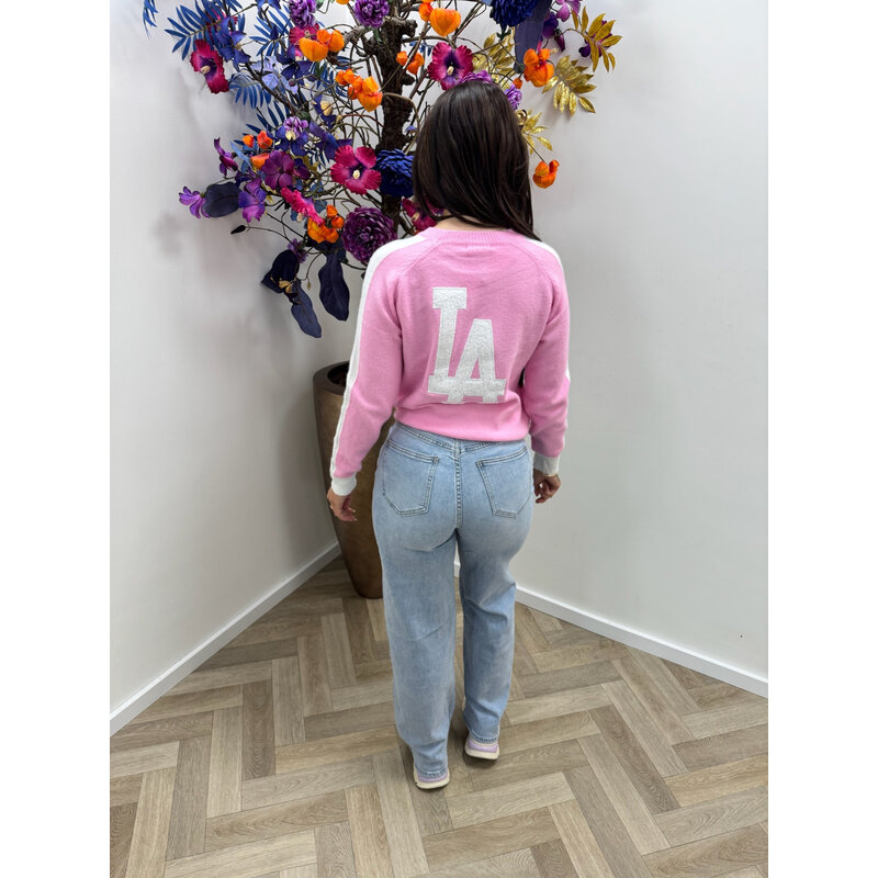 Sweater Teddy LA  Pink AM628