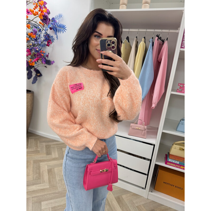 Trui embleem Amy Peach