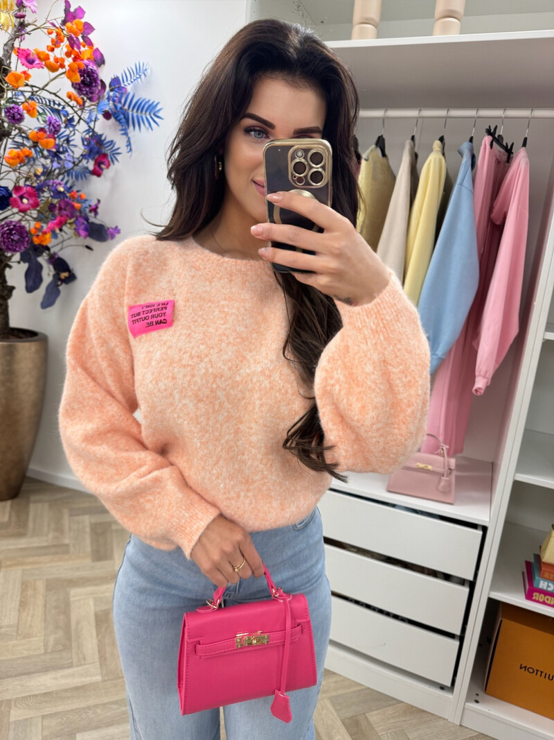 Trui embleem Amy Peach