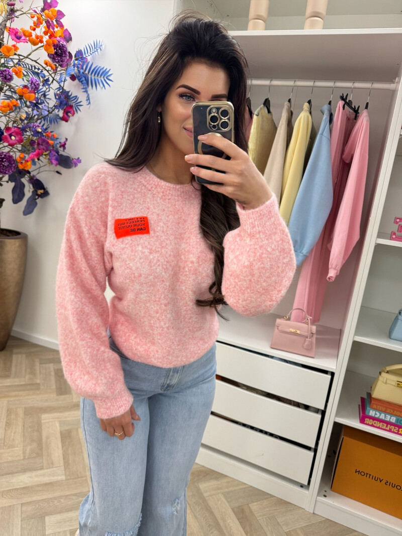 Trui embleem Amy Pink