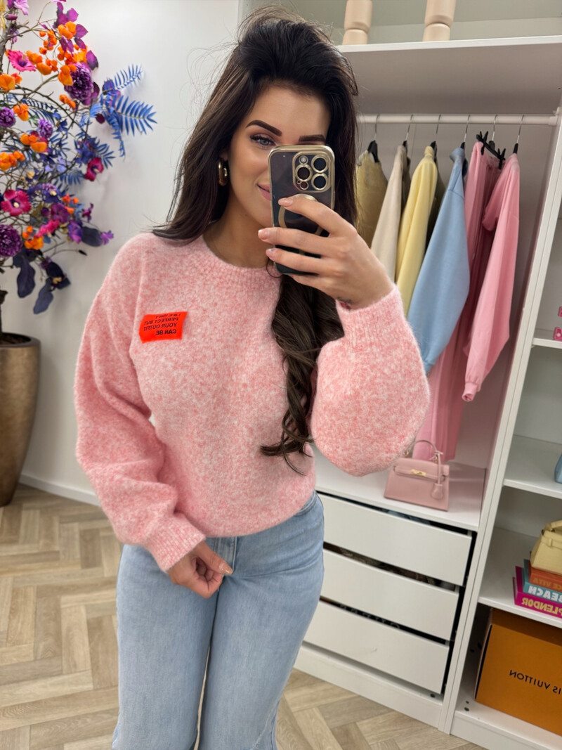 Trui embleem Amy Pink