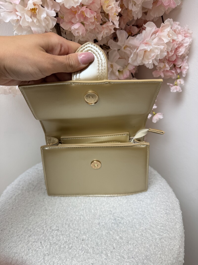Bag Sofia Y-1556 Gold