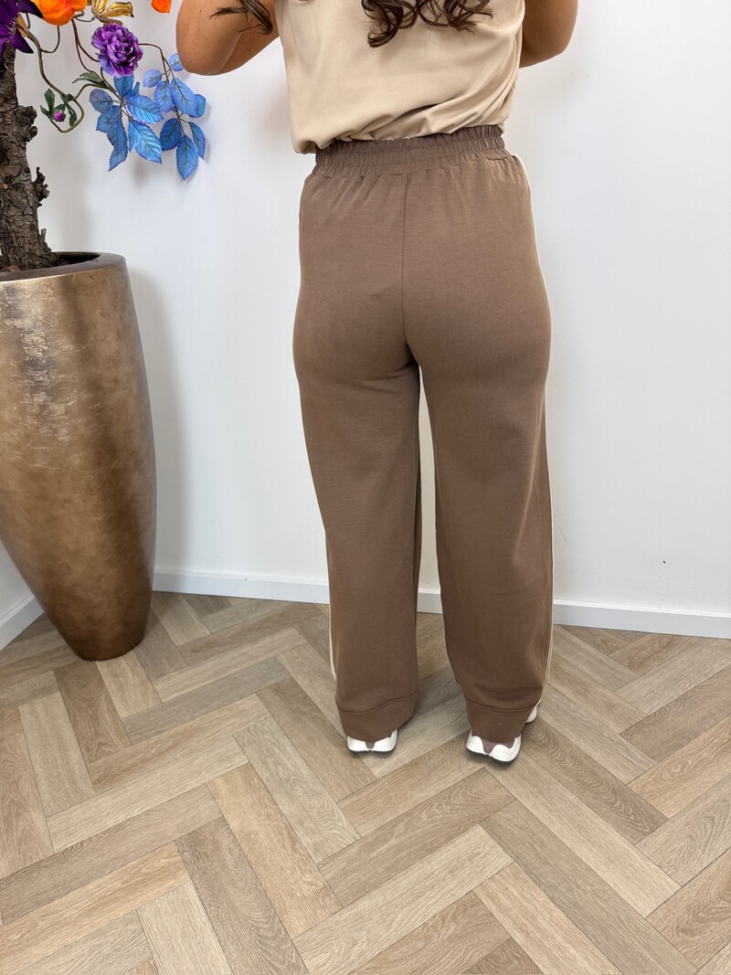 Pants Merope Taupe Guess 1330