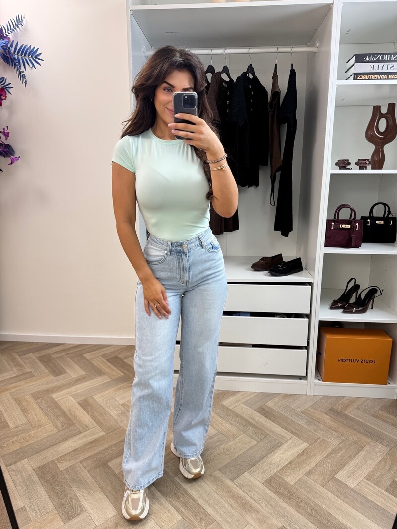 Perfect Travel Body By Swan Mint HS8612