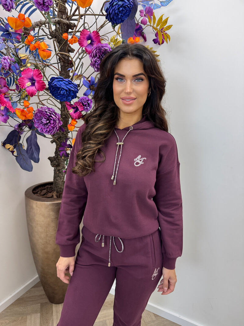 Hoodie LJ Logo Red Aubergine Liu Jo 1962