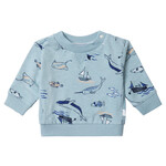 Noppies Boys Sweater Bergen long sleeve  allover print