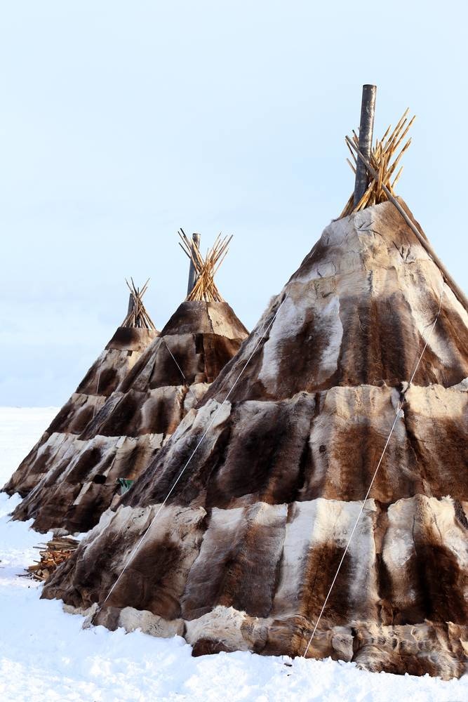 The Tundra Nenets of Siberia