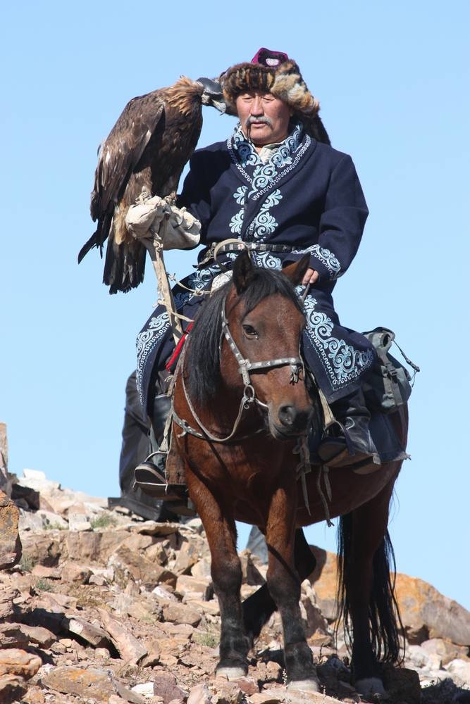 Eagle hunter I