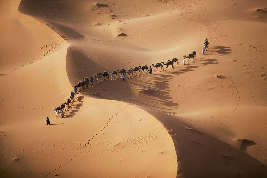 Camel caravan