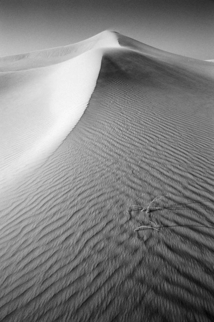 Dune black and white