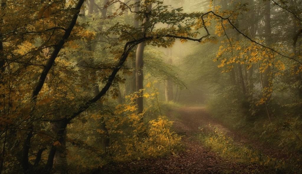 A sorrow beyond dreams / colour