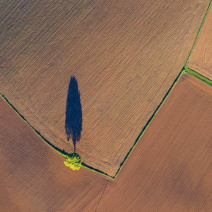 In the shadow of a tree