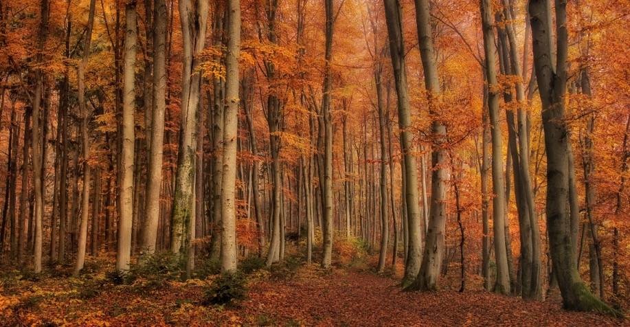 Winter has soon to come