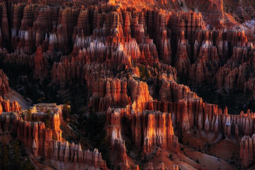 Morning light on hoodoos