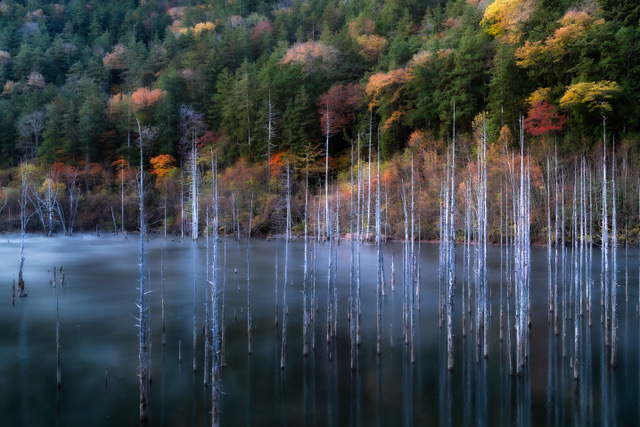 Natural Lake Autumn