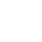 B&B Italia