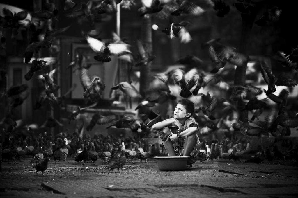 Myanmar's boy with pigeons